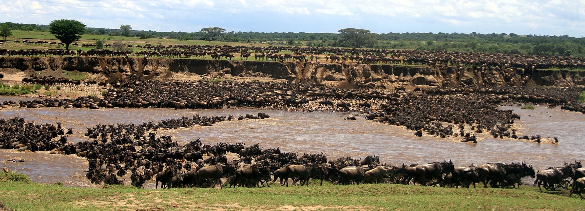 Serengeti Sky Safari hero image