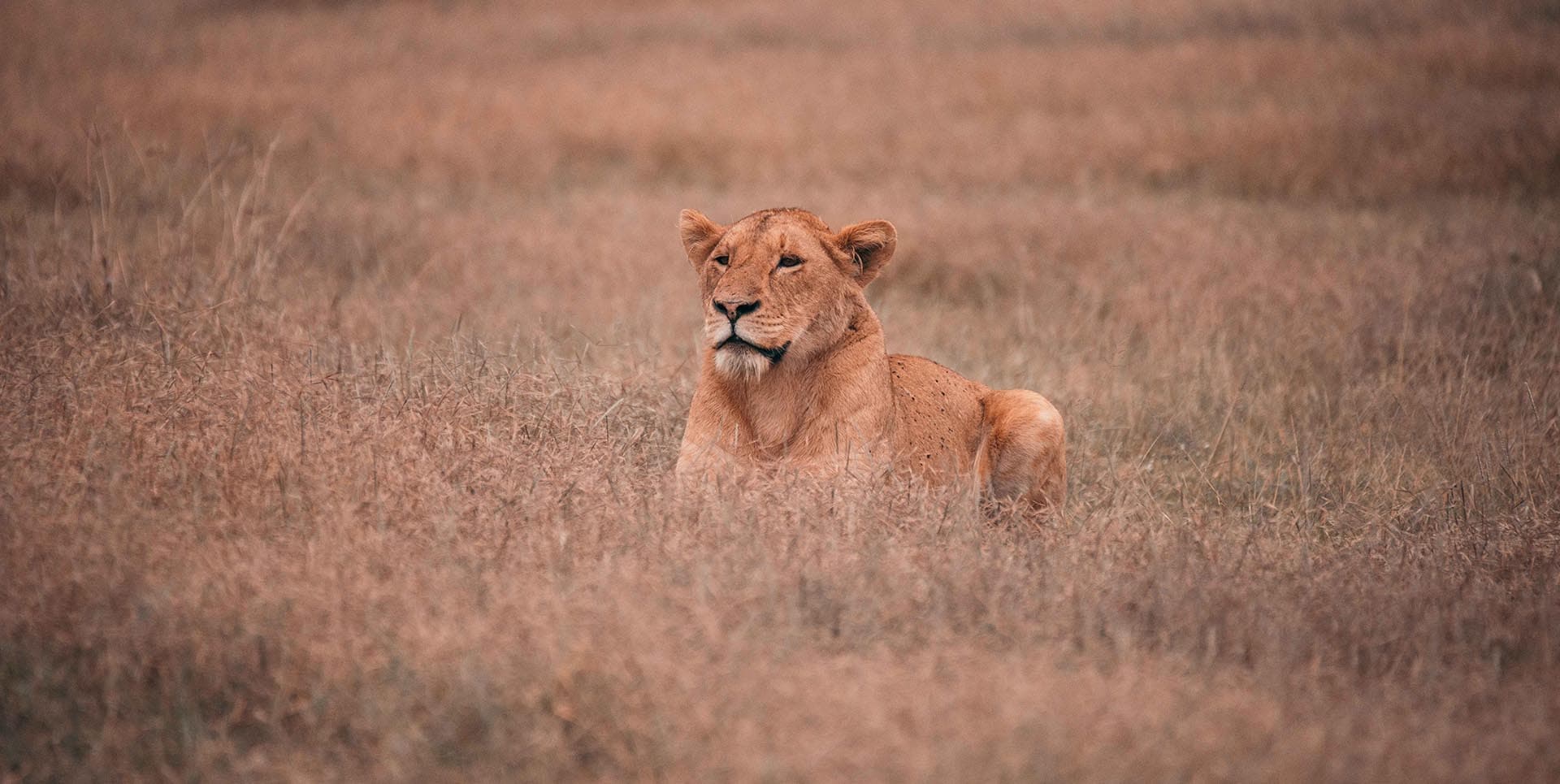 Tarangire & Ngorongoro Duo hero image